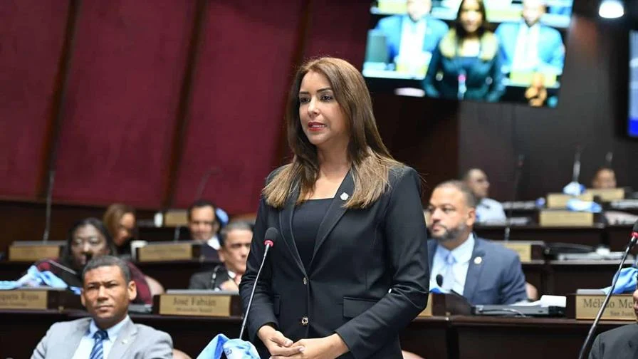 Escuelas en el Distrito Nacional están ocupadas por niños extranjeros, denuncia Selinée Méndez