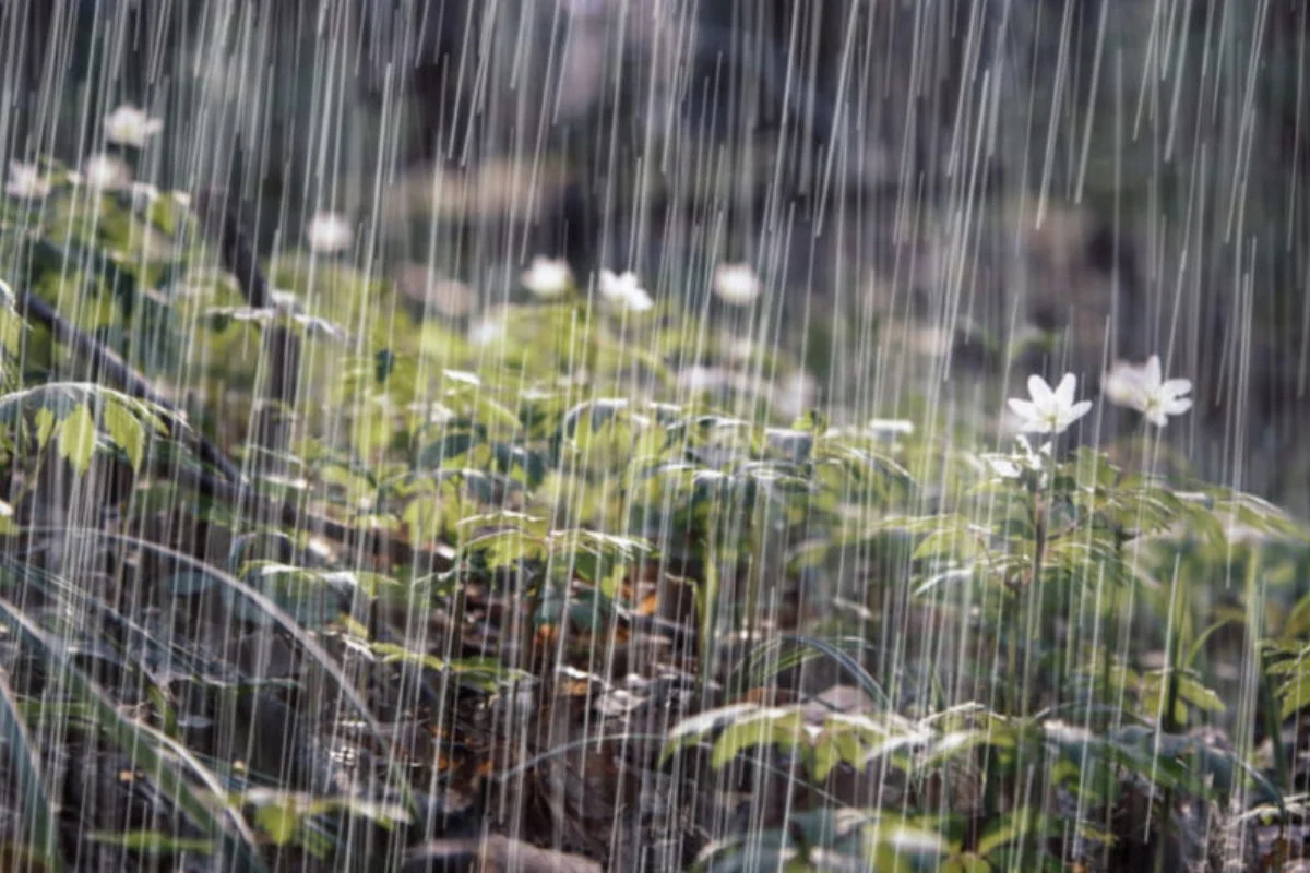 Aguaceros y tronadas se intensificarán esta tarde por incidencia de vaguada