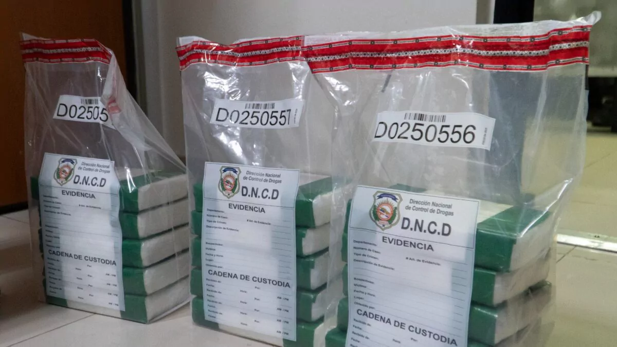 DNCD incauta más de 17 mil gramos de presunta cocaína en Los Alcarrizos