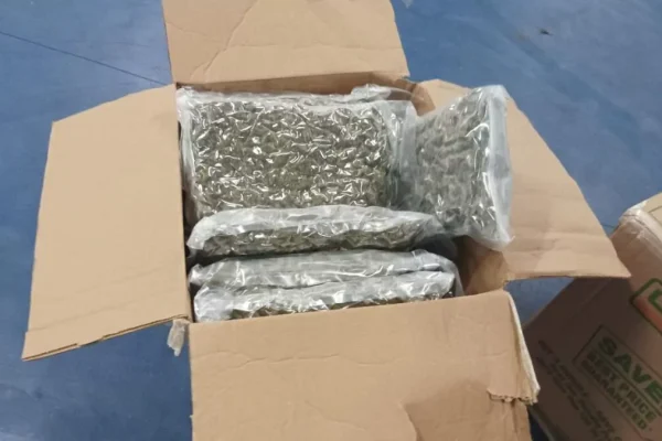Incautados 3,289 kilos de marihuana procedentes de Canadá en el puerto español de Valencia