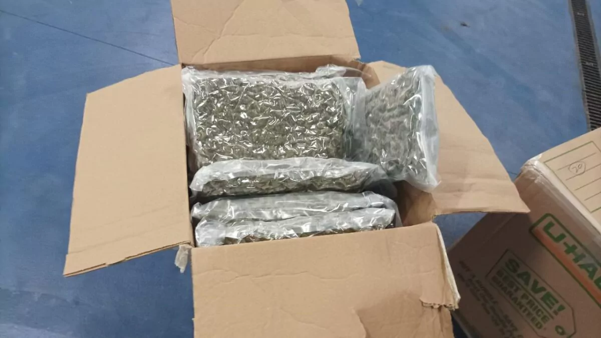 Incautados 3,289 kilos de marihuana procedentes de Canadá en el puerto español de Valencia
