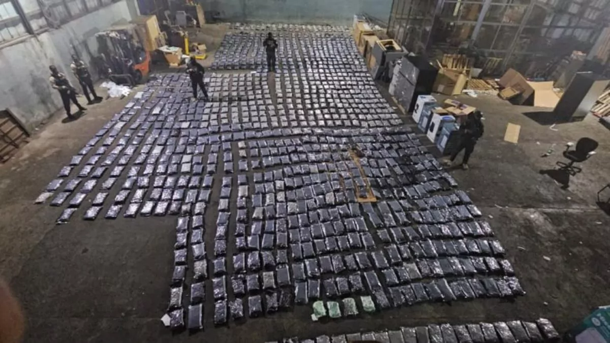 Incautan más de mil paquetes de marihuana sintética en el muelle de Puerto Plata