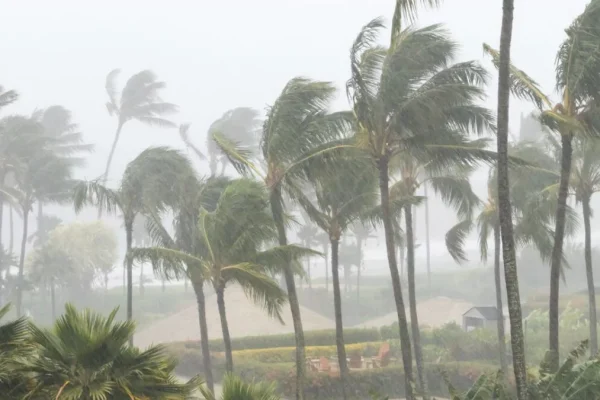 Indomet: Fin de semana con lluvias intensas por vaguada