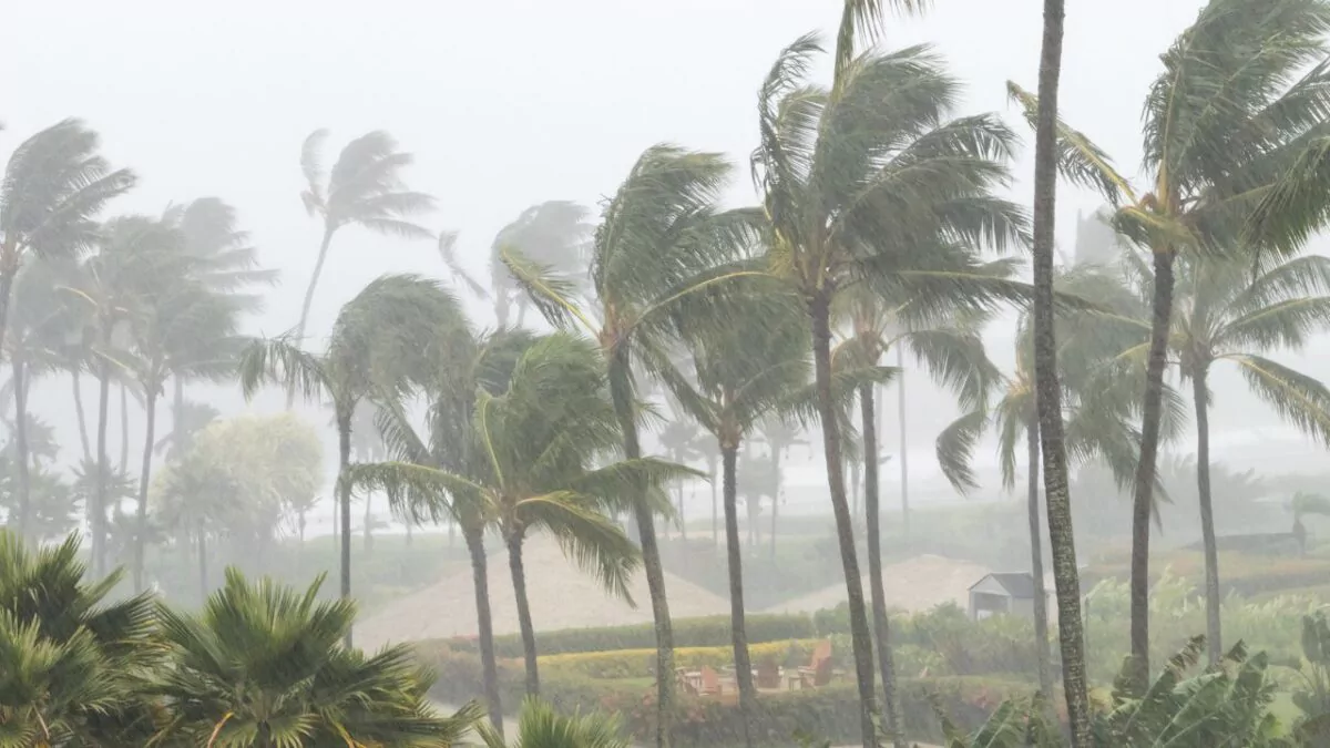 Indomet: Fin de semana con lluvias intensas por vaguada