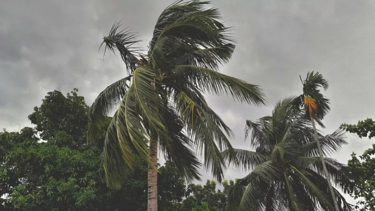 Vaguada y fuertes vientos mantienen provincias en alerta, según Indomet