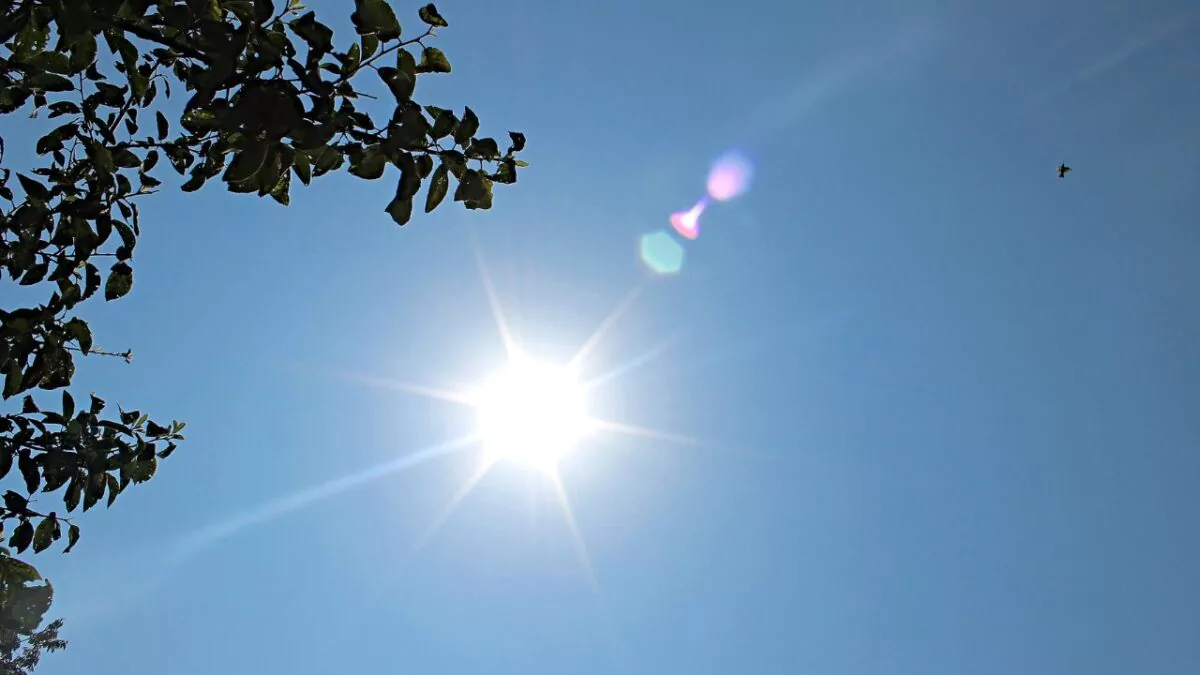 Cielo mayormente soleado y con escasas lluvias, según Indomet