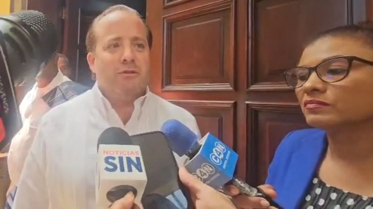 Paliza asegura que cualquier decisión en el PRM deberá ser aprobada en convención nacional