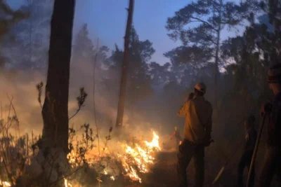 Más de 120 bomberos forestales combaten incendio en la Sierra de Bahoruco