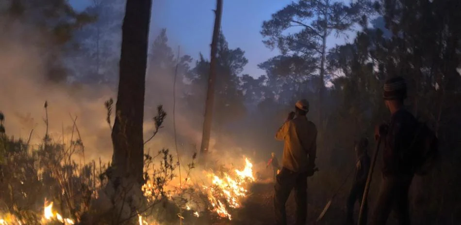 Más de 120 bomberos forestales combaten incendio en la Sierra de Bahoruco