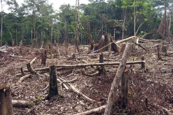 Medio ambiente en República Dominicana: entre la conservación y las amenazas al desarrollo sostenible