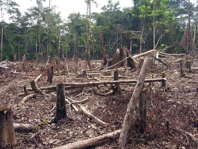 Medio ambiente en República Dominicana: entre la conservación y las amenazas al desarrollo sostenible