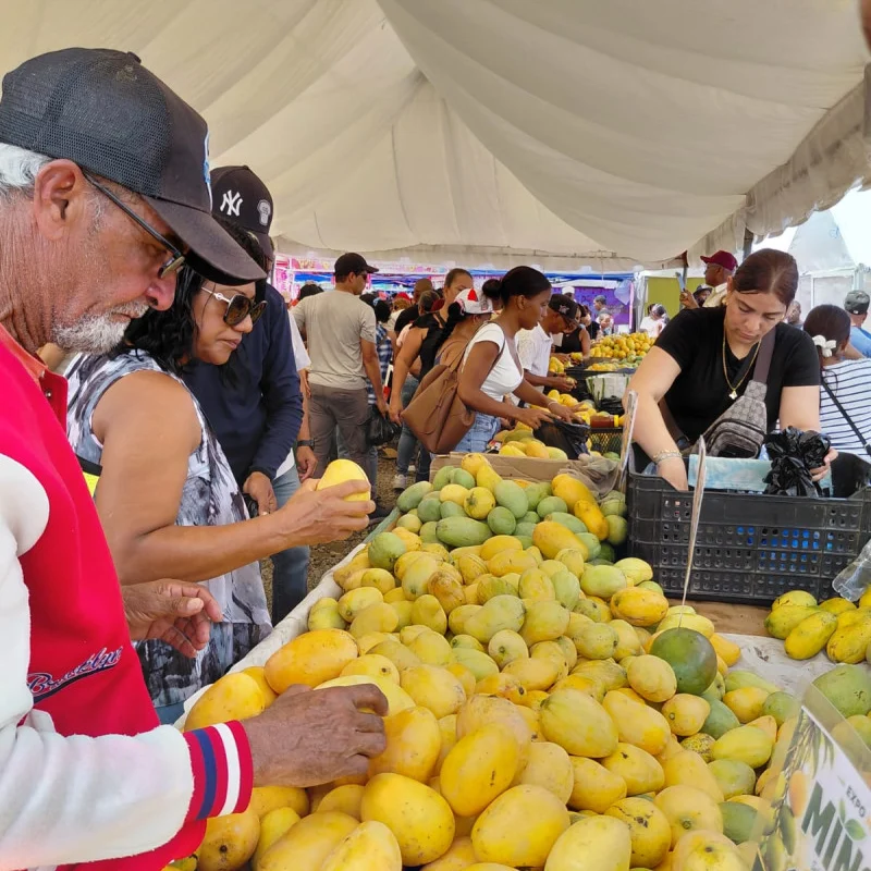 Productores de Baní estiman pérdidas por RD$90 millones tras veto de EE.UU. al mango dominicano