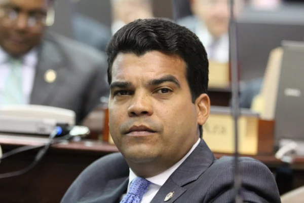 Alcalde Enrique Romero: “Wellington Arnaud lidera la estructura del PRM en Santiago”
