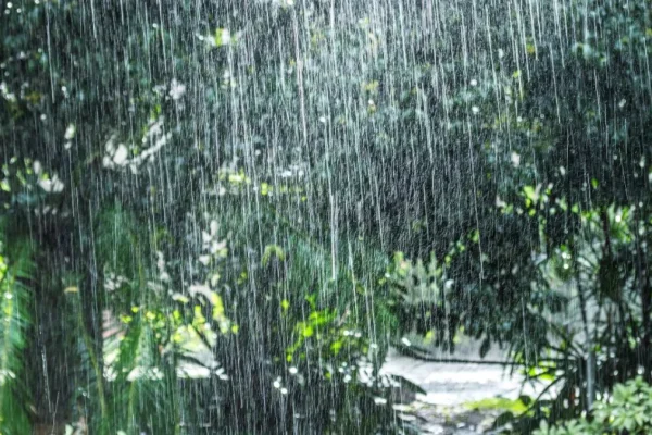 Vaguada y onda tropical provocarán aguaceros y tronadas este lunes, mientras persiste el calor