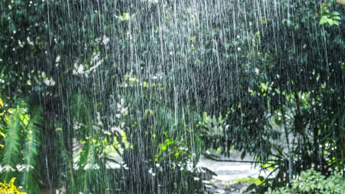 Vaguada y onda tropical provocarán aguaceros y tronadas este lunes, mientras persiste el calor