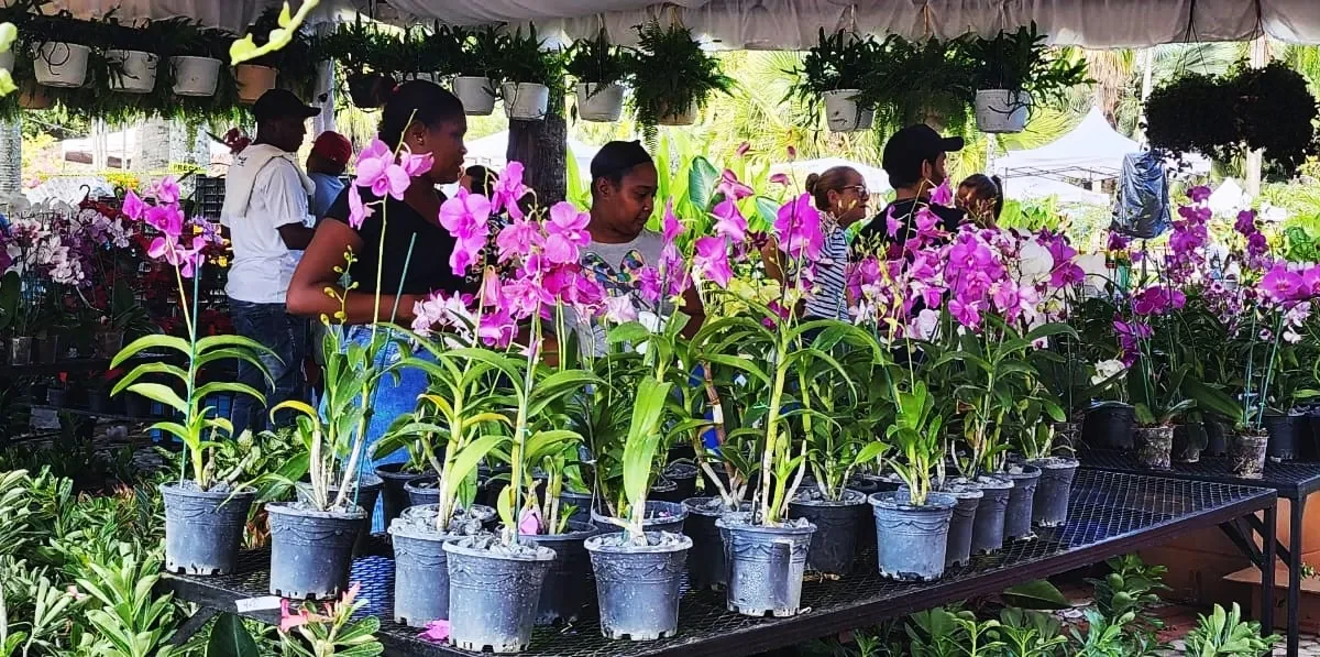 Jardín Botánico Nacional anuncia Festival Nacional de Plantas y Flores en octubre
