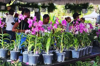 Jardín Botánico Nacional anuncia Festival Nacional de Plantas y Flores en octubre