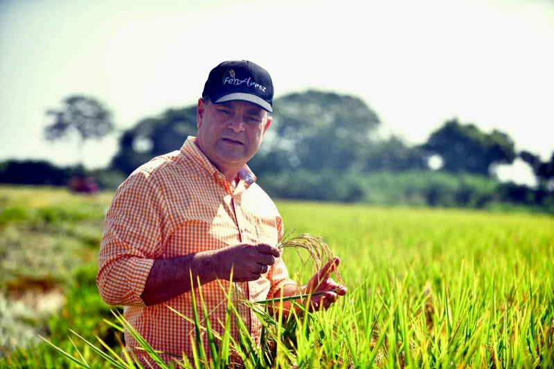 Ministro de Agricultura sobre tema del arroz: «Se va a resolver y vamos a salir bien»